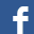 facebook: China Electric Vehicle Overseas Co.